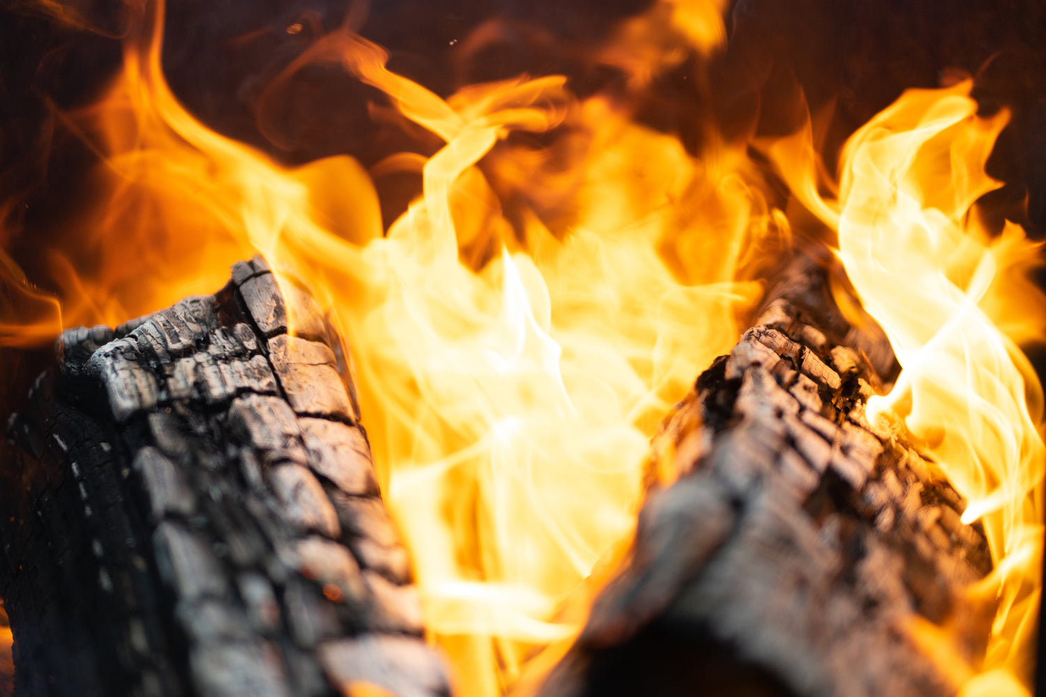Brandhout online. Eik brand traag en geeft een warme vlam.
